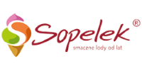 Sopelek - FODOPRESS Opole strony www internetowe SEO wordpress sklepy